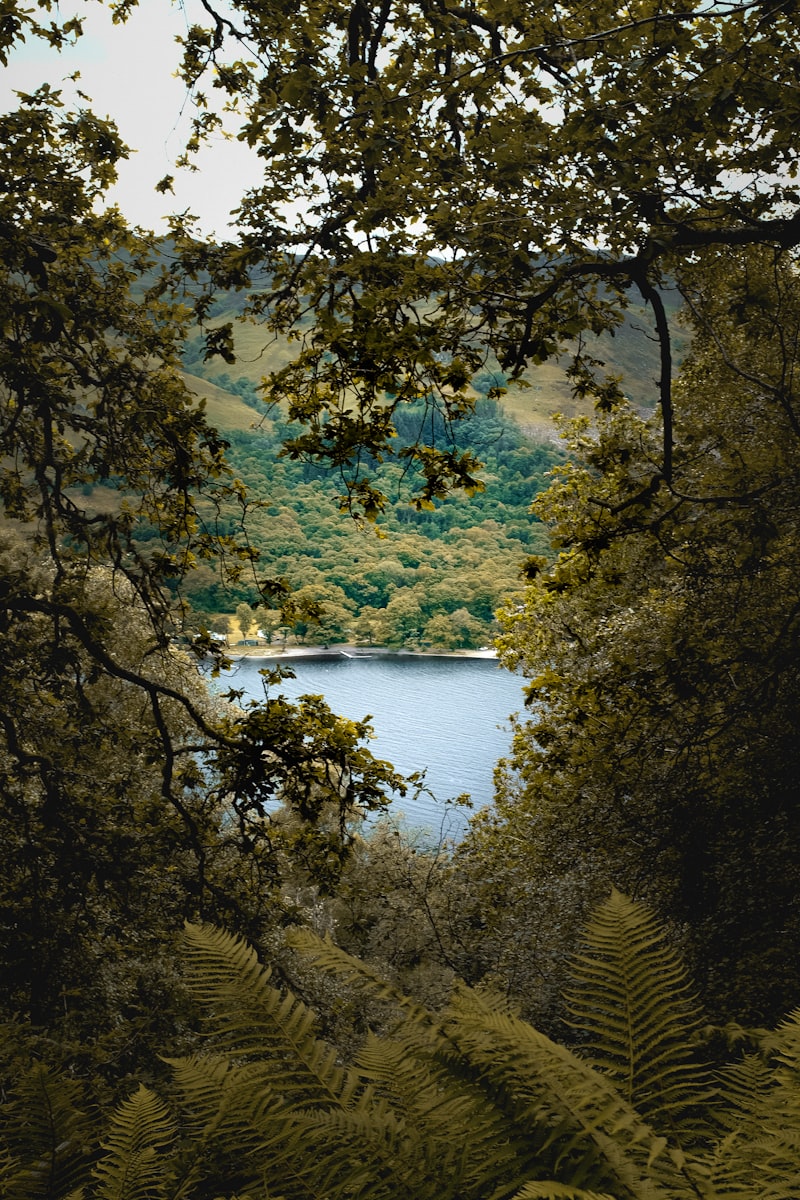 Tipobet Hemen Giriş Yap